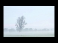 Miniature de la vidéo de la chanson Het Geluid Van Stilte