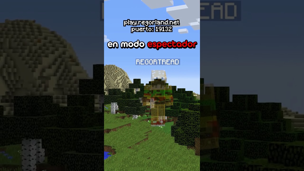 Ayudé a un jugador ilegal en mi server de Minecraft!