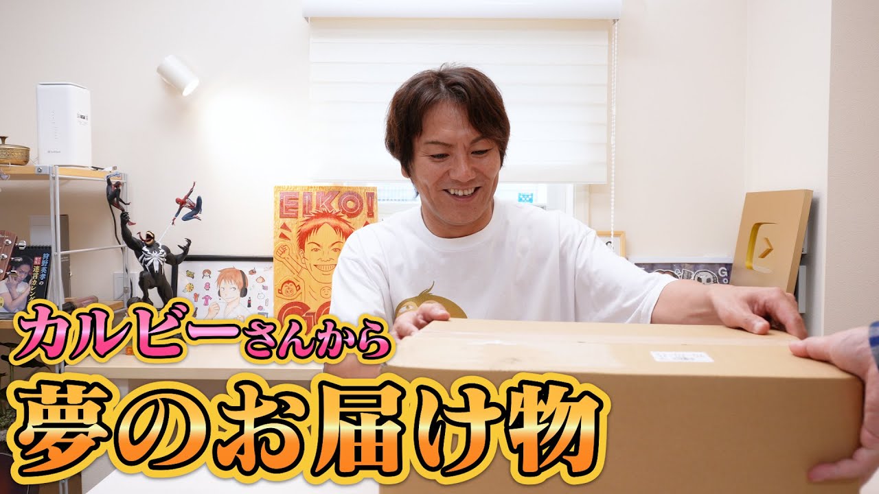 カルビーさんから夢の詰め合わせが届きました！