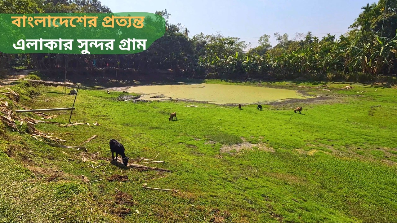 বাংলাদেশের প্রত্যন্ত এলাকার সুন্দর গ্রাম | Beautiful Remote Village in Bangladesh | Countryside