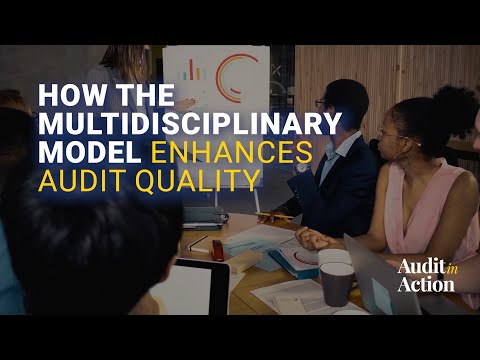 Audit in Action