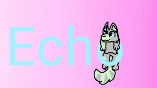 COMPLETE|Echo MAP part|