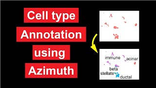 Cell type annotation using Azimuth in one line of code Net Worth