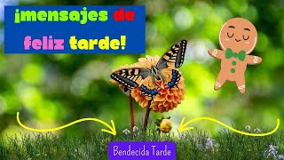 👋Bellos Saludos 🥐 Bendecida Tarde 🍦Mensajes de Linda Tarde 🌅