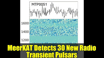MeerKAT Detects 30 New Radio Transient Pulsars