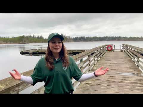 Vidéo: 11 Choses à faire à Fidalgo Island, Washington