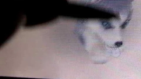 Nintendogs Help and Advice: Advance/Combo Tricks: Handstand