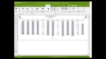 NeuraSection - Correlation, Cross Sections, Mapping, Montage, and Reserves