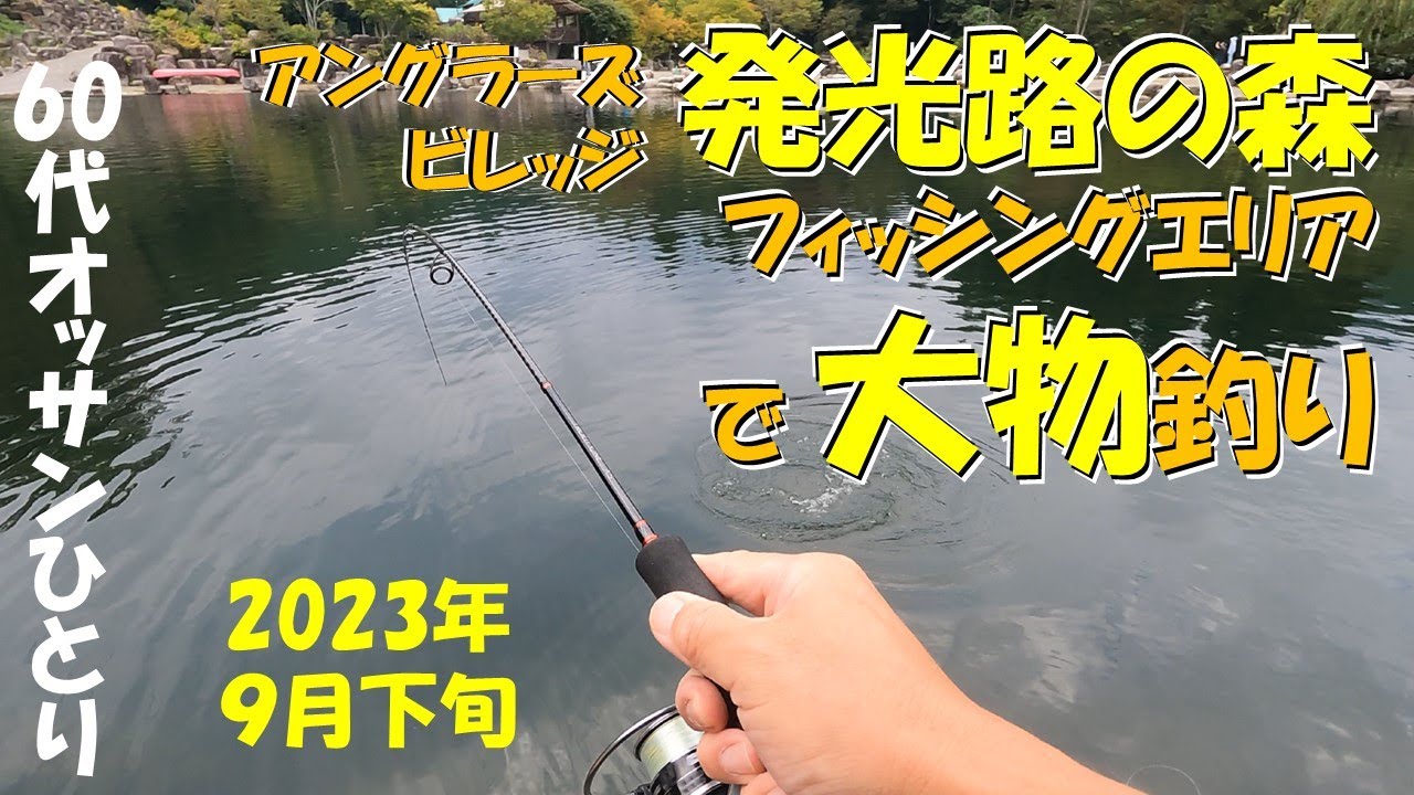 初秋の発光路の森で大物釣り【2023年9月下旬】