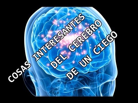 Vídeo: Por Qué Los Ciegos Oyen Mejor Que Los Videntes: Acertijos Cerebrales - Vista Alternativa