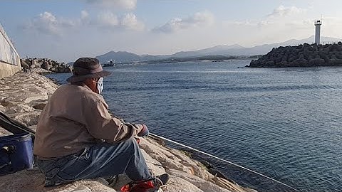 강릉항 장대낚시