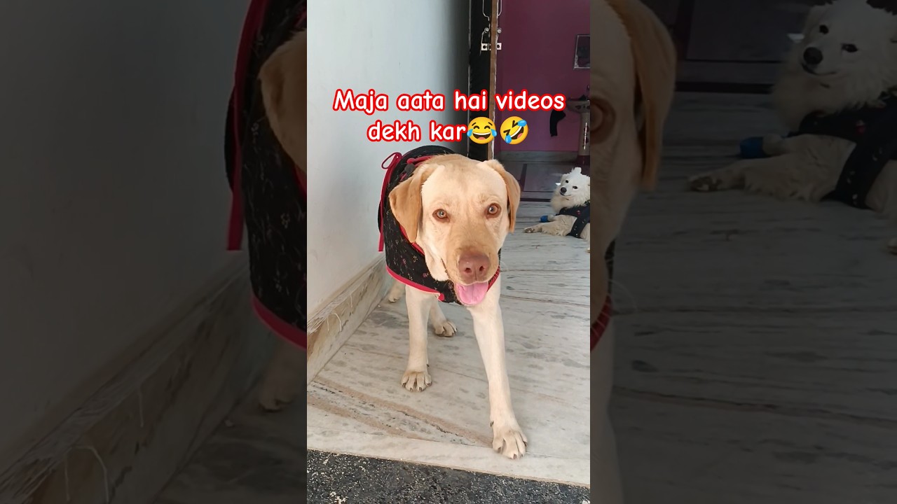 baat to sahi hai😂