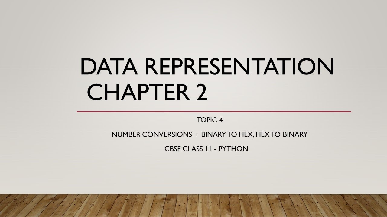data representation computer science class 11