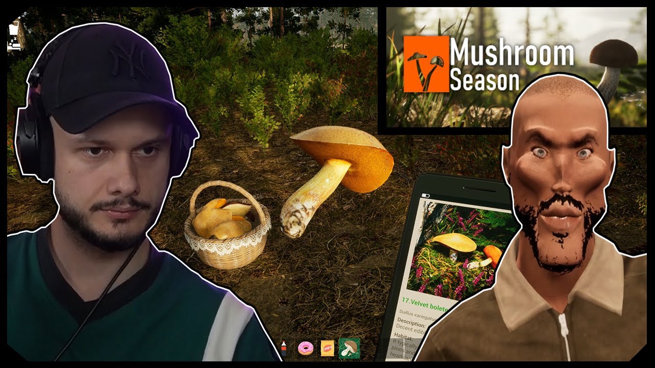 Starý zbiera dubake 🍄 Mushroom Season | 27. 8. 2024 | Astatoro