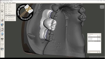 Flipper design with mesh mixer(Zenith D)