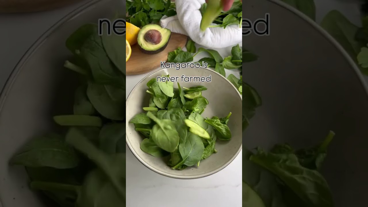 Kangaroo Steak Salad