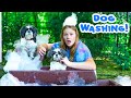Assistant Invents Dog Washing Machine for Wiggles and Waggles Bath