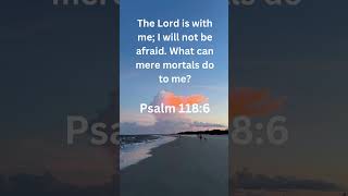 Psalm 118:6 Daily Bible Verse