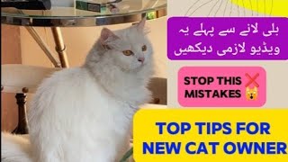 best Top tips for new Persian cat owners| cat care for beginners|new cat owner tips|Persian cat care