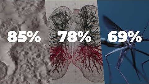 Using data to accelerate progress towards the health SDGs, leaving no-one behind