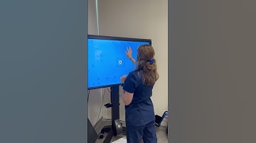 Sensorimotor Integration