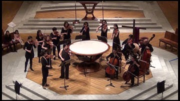 Sonnet Ensemble: Janacek - Suite for Strings Orchestra - 1st movement excerpt