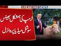 “Trump Lookalike Buffalo Goes Viral on Social Media!” | Breaking News | Public News