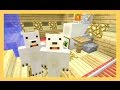Twins ~ FINISHED EXPERIMENT ~ [42] - Sqaishey & Stampy