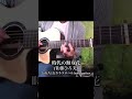 時代の無双花(佐藤ひろ美)/かねちは(カネコチハル)soro guitar