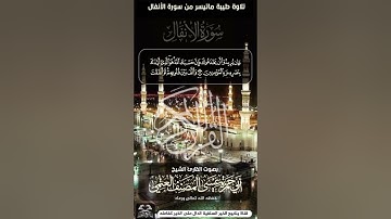 تلاوة طيبة ماتيسر من سورة الأنفال للشيخ أبي حمزة عيسى المصنف العتمي حفظه الله
