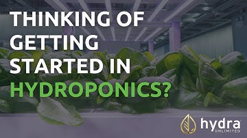 Thinking Of Getting Started In Hydroponics?