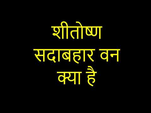 वीडियो: समशीतोष्ण वनों में कौन से जानवर हैं?