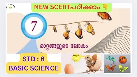NEW SCERT STD 6 : 7️⃣ മാറ്റങ്ങളുടെ ലോകം - Basic Science#scert  #scerttextbookclass#std6basicscience 
