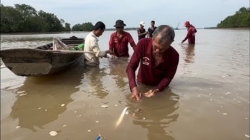 Trúng mánh đủ loại Cá ở địa điểm Cồn giữa  quá ngon 