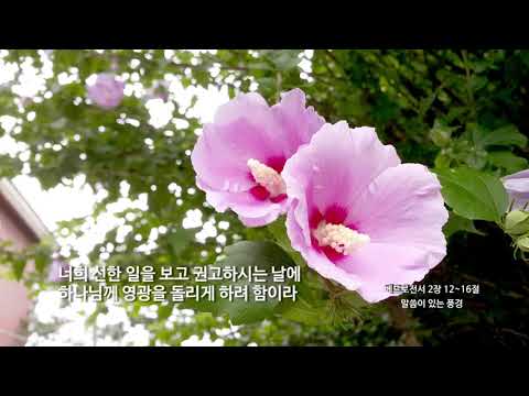 [신천지] 말씀이 있는 풍경 - 여름 - 07 - 베드로전서2장 12~16절