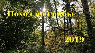 ПОХОД ПО ГРИБЫ 2019//Жизнь в деревне