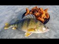 Yellow Perch CATCH CLEAN COOK While Ice Fishing!