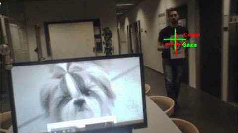 Depth Compensation Model for Gaze Estimation in Sport Analysis