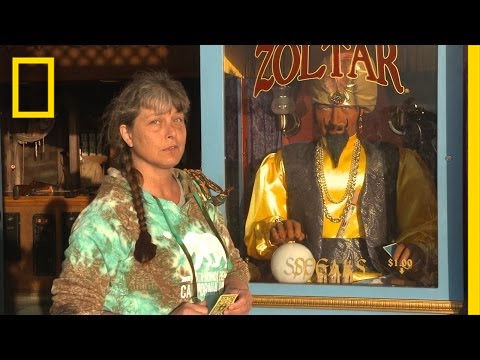 Santa Monica Pier | Sue in the City