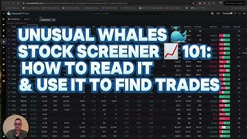 How To Use Unusual Whales 🐳 Stock Screener For High-Probability Trading Setups 📈