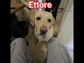 Ettore in pole position si è aggiudicato il primo biscottino della giornata.