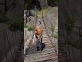 Survival Skills vid449