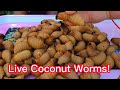 Ms jin su live coconut worms mukbang yummyfoods mukbang eat