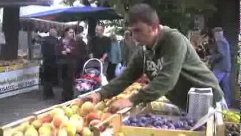 Introduction to Sustainability