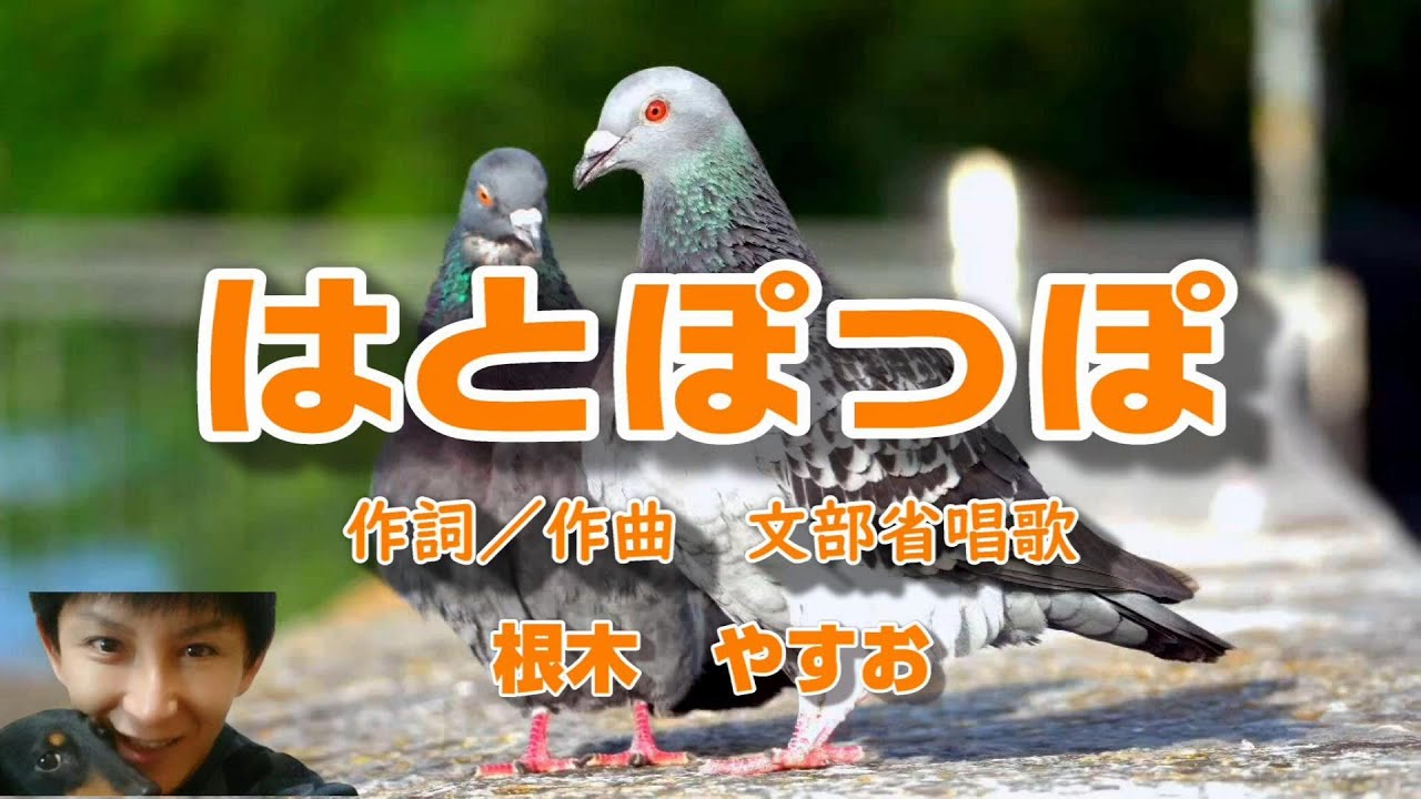♪鳩 はと (ぽっぽっぽ はとぽっぽ) - YouTube