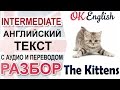 The Kittens  Intermediate text: grammar, vocabulary and listening skills  OK English