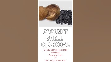 Coconut shell charcoal #shorts