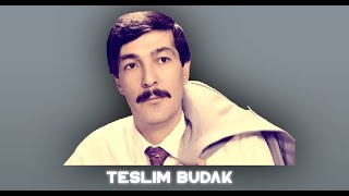 Teslim Budak - Kayanın Dibinde