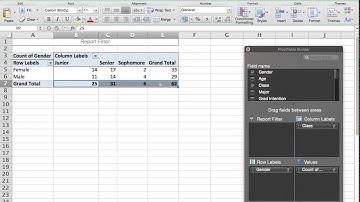 Contingency Table, cross tabulation, frequency tables (Mac Excel)