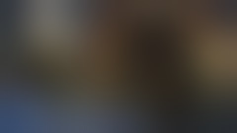 The Witcher 2, Part 9 / The Kayran Boss, The Rose of Remembrance, Triss Romance